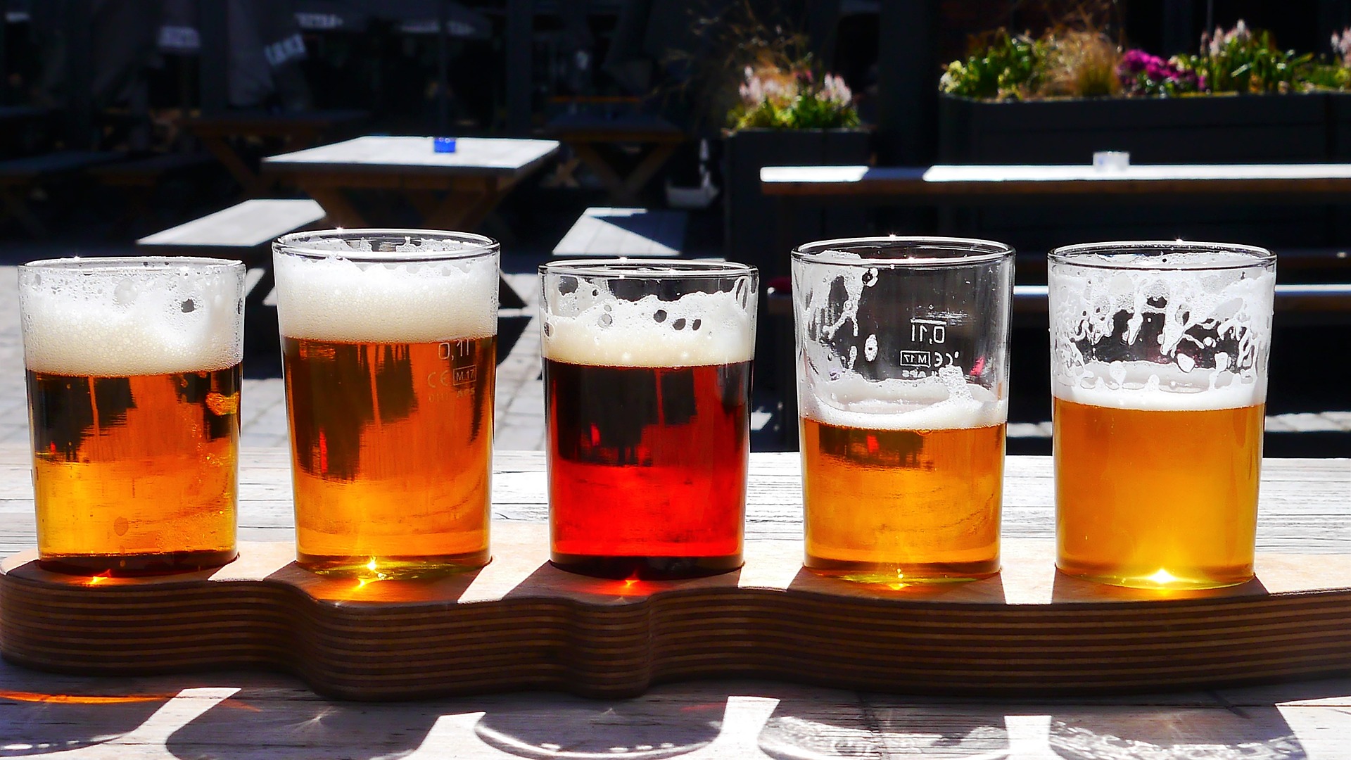 Our Guide to Tasting Craft Beer for First-Timers – What to Know